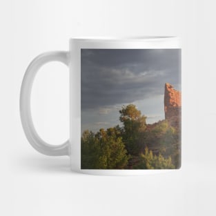 850_6991 Mug